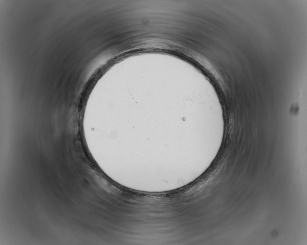 X0000101411067200808041059