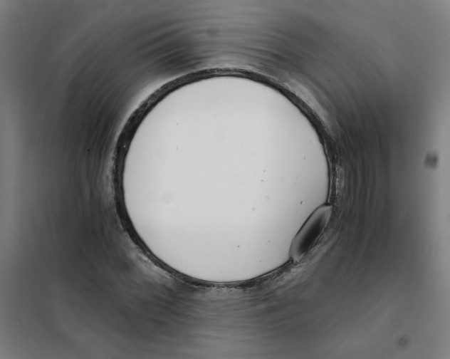 X0000101411068200808041059