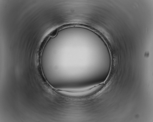 X0000101411069200808041059
