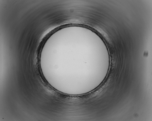 X0000101411070200808041059