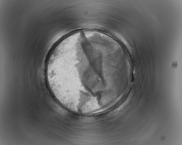 X0000101411071200808041059