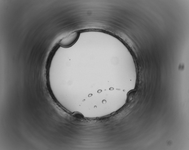 X0000101411072200808041058