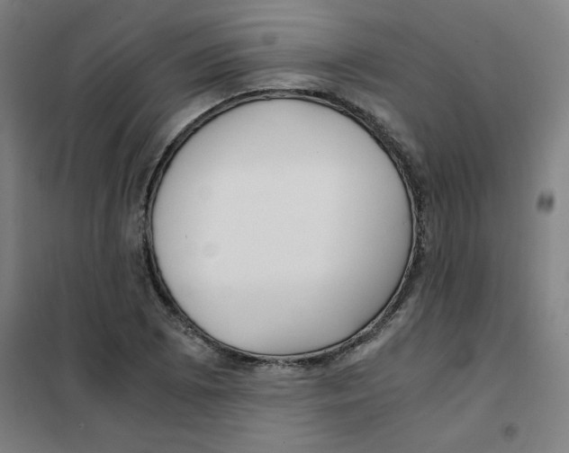 X0000101411073200808041058