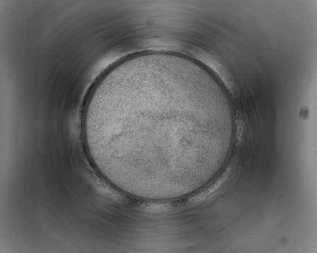 X0000101411074200808041058