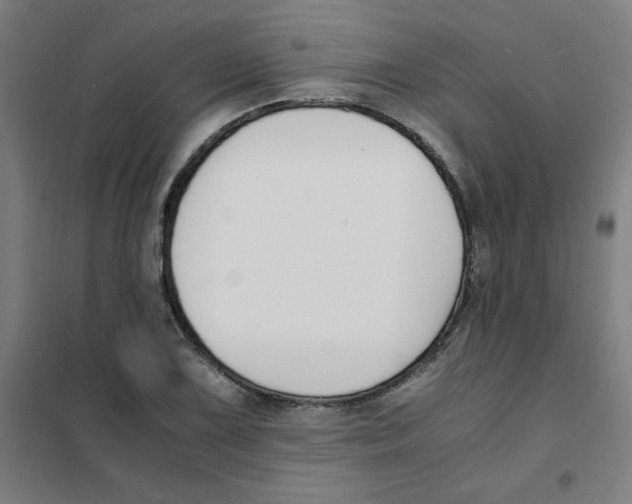 X0000101411075200808041058