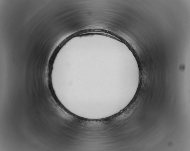 X0000101411076200808041058