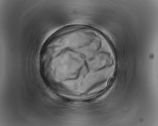 X0000101411077200808041058