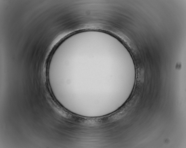 X0000101411078200808041058