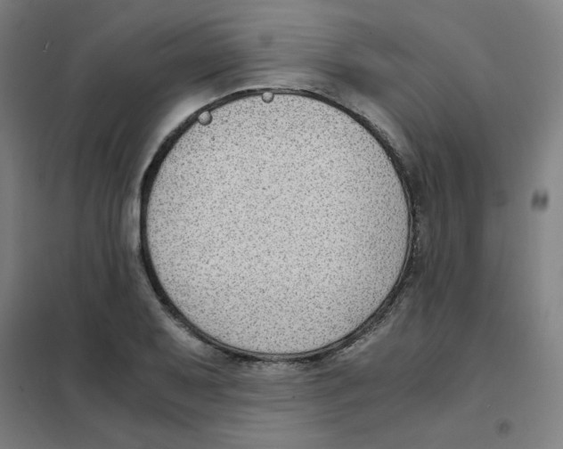 X0000101411079200808041058