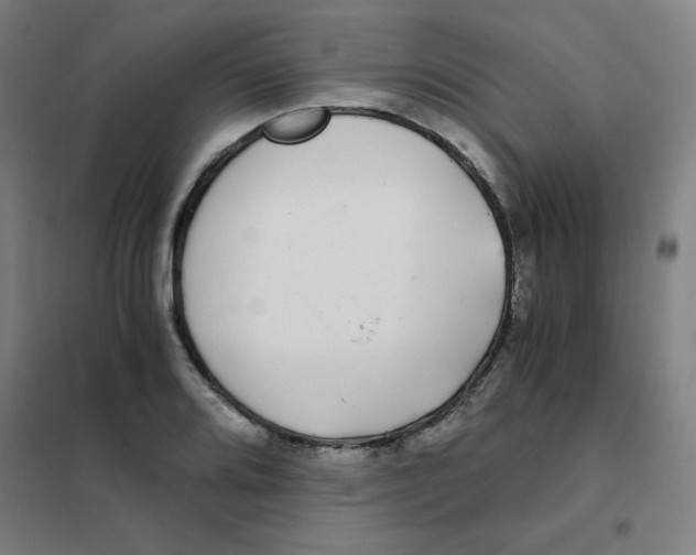 X0000101411080200808041058