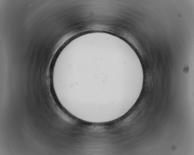 X0000101411082200808041058