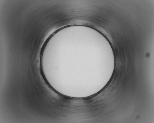 X0000101411083200808041058