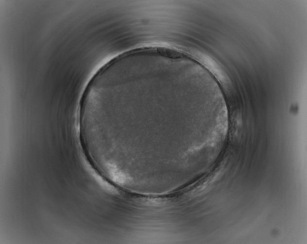 X0000101411084200808041058