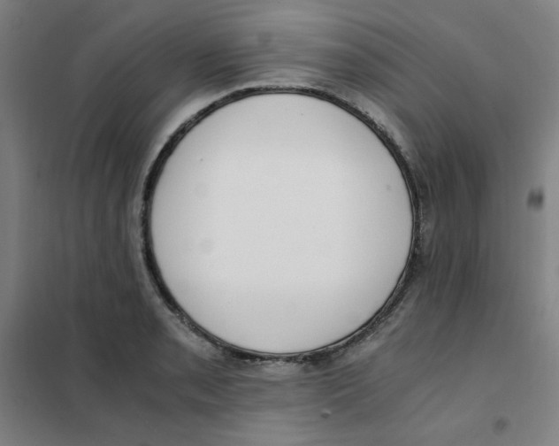 X0000101411085200808041058