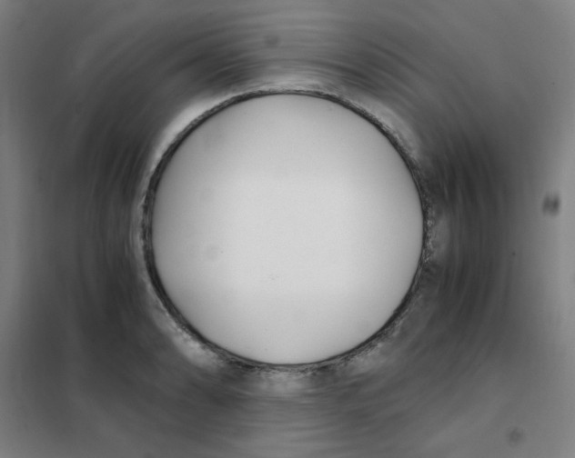 X0000101411086200808041058