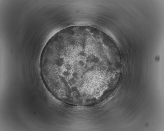 X0000101411087200808041058