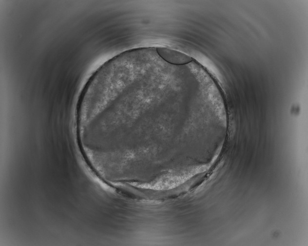 X0000101411088200808041058