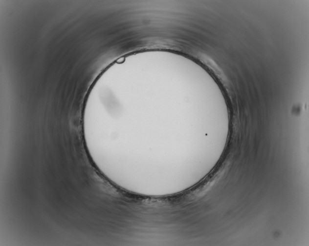 X0000101411089200808041058
