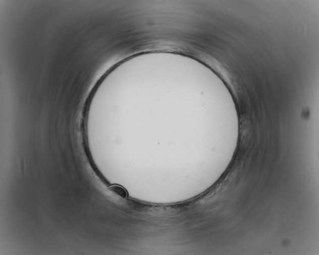 X0000101411091200808041058