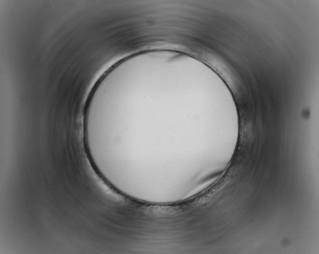X0000101411092200808041058