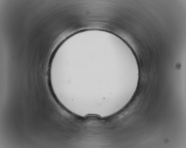 X0000101411093200808041058