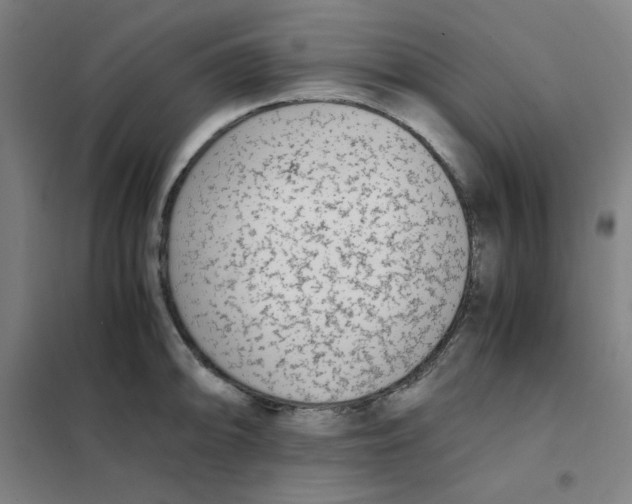 X0000101411094200808041058