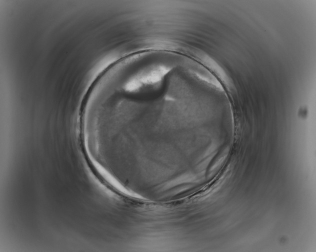 X0000101411095200808041058