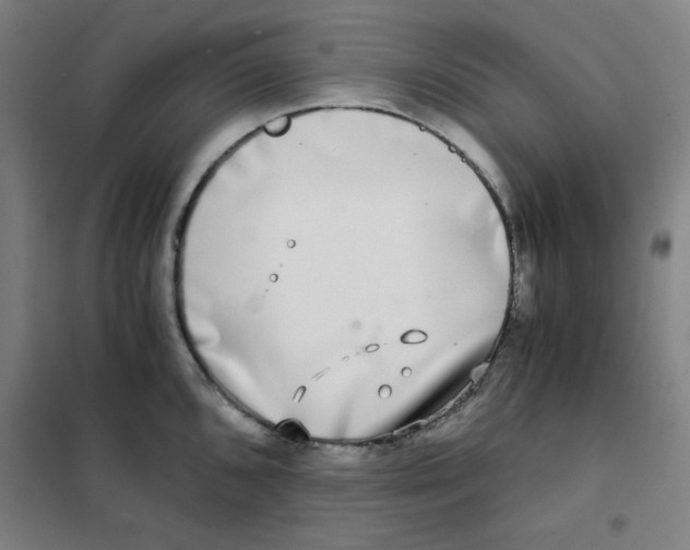 X0000101411096200808041058
