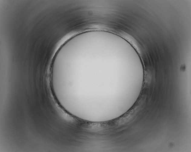 X0000101411098200808041058