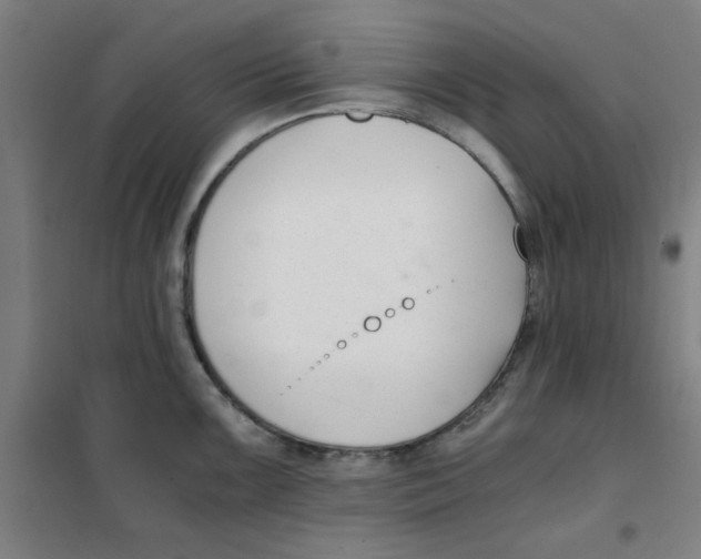 X0000101411099200808041058