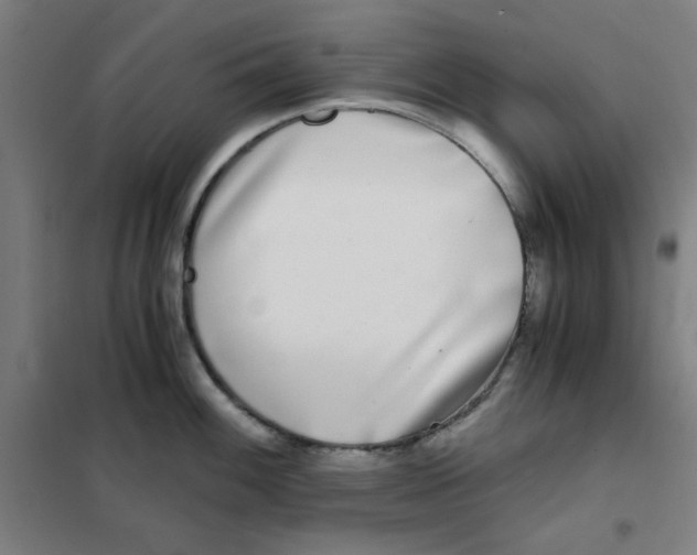 X0000101411100200808041058