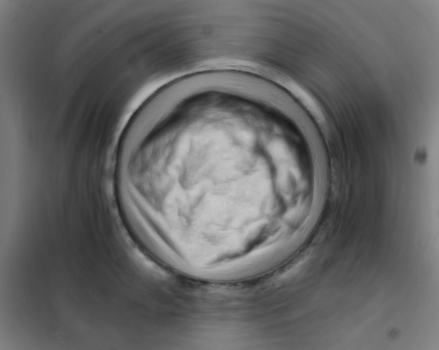 X0000101411102200808041058