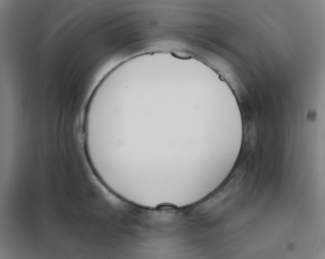 X0000101411103200808041058