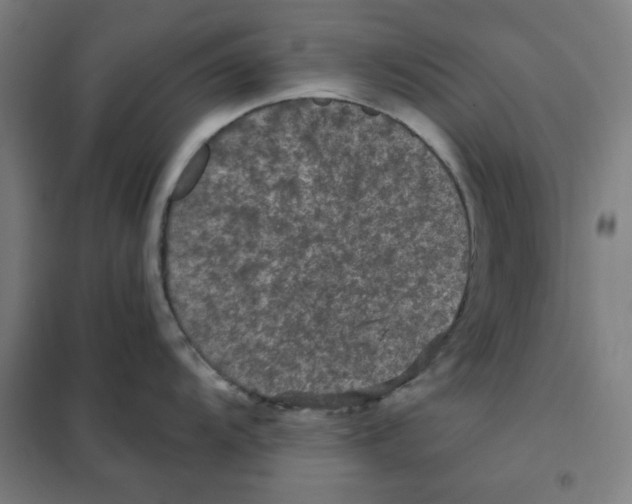 X0000101411104200808041058