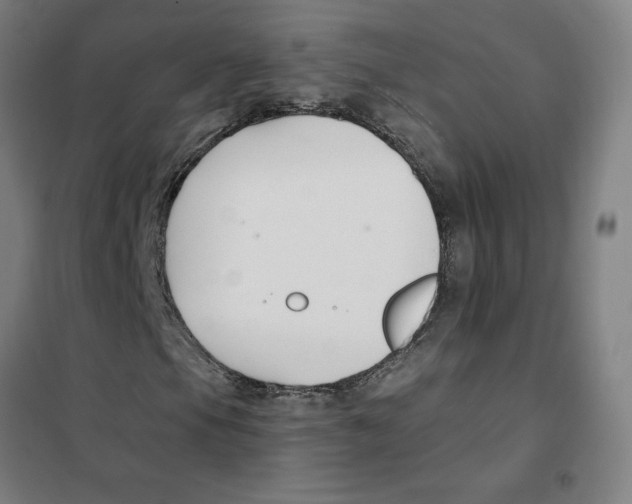 X0000101411105200808041057
