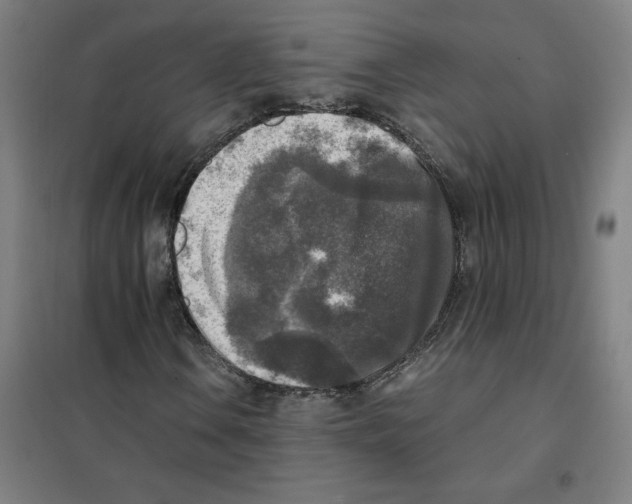X0000101411106200808041057