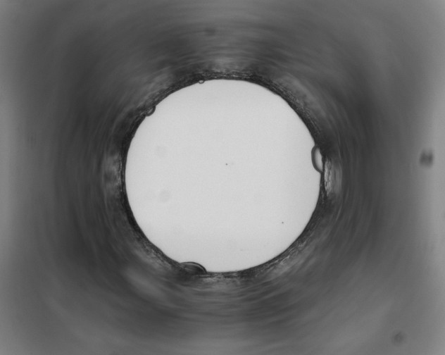 X0000101411107200808041057