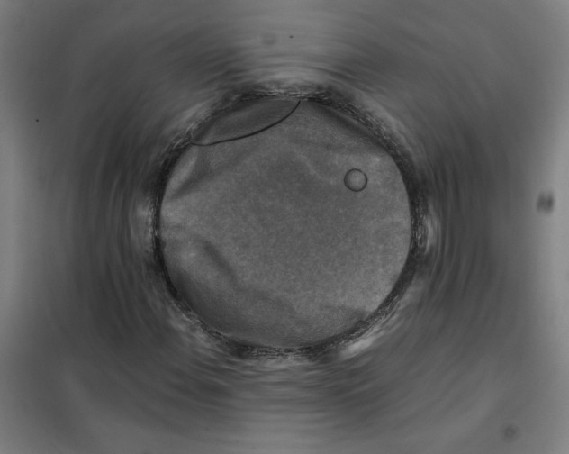 X0000101411108200808041057