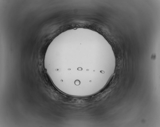 X0000101411109200808041057