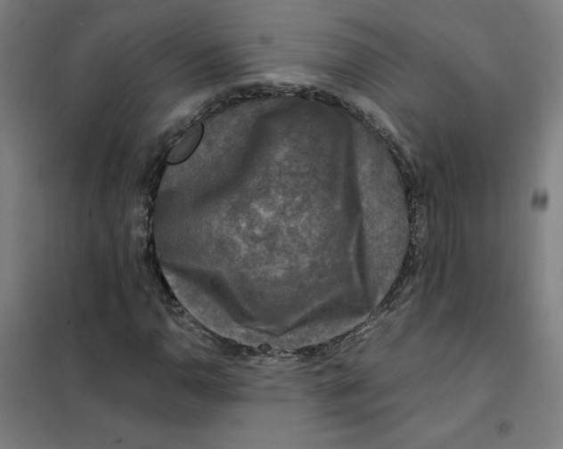 X0000101411110200808041057