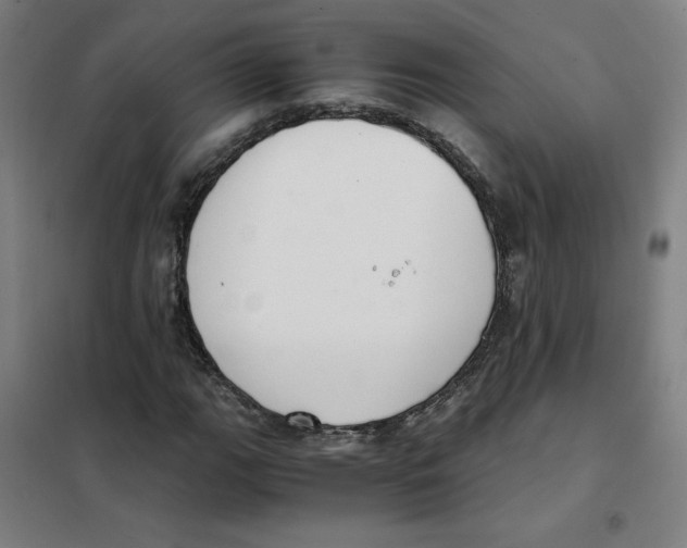 X0000101411111200808041057