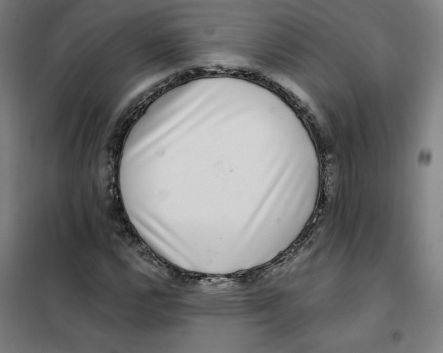 X0000101411112200808041057