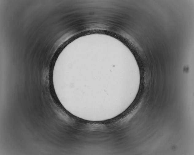 X0000101411113200808041058