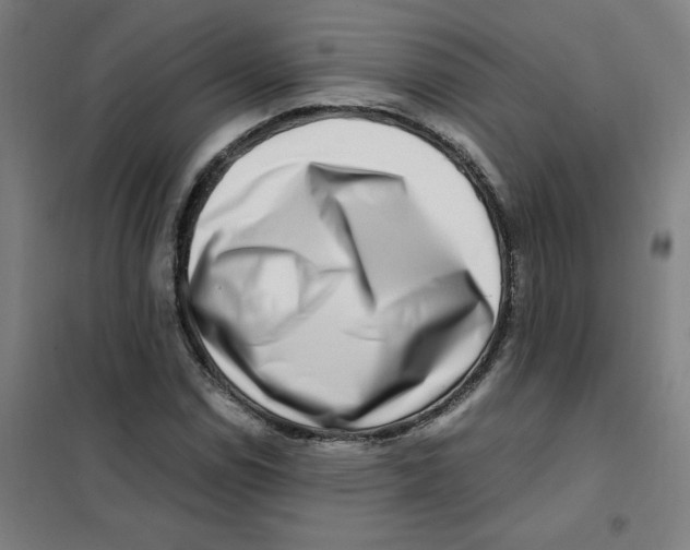 X0000101411114200808041058