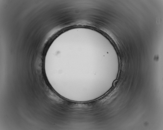 X0000101411115200808041058