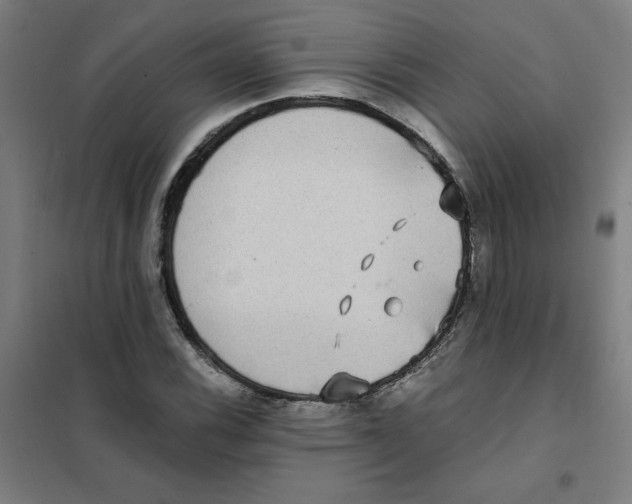 X0000101411116200808041058