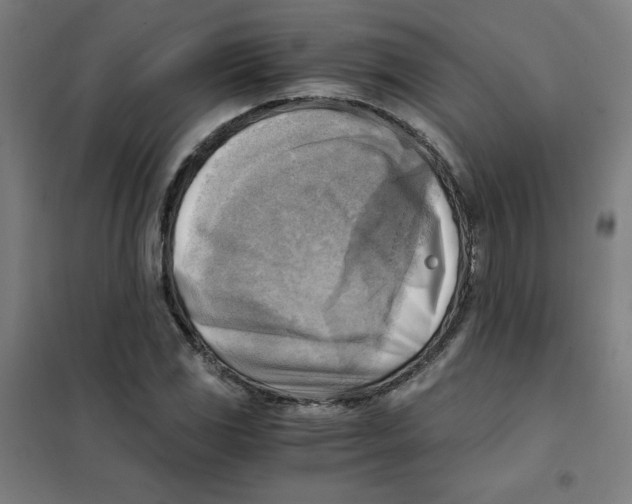 X0000101411117200808041058