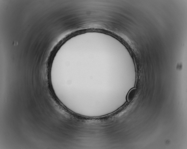 X0000101411118200808041058