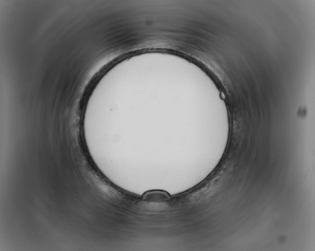 X0000101411119200808041058