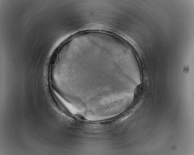 X0000101411120200808041058